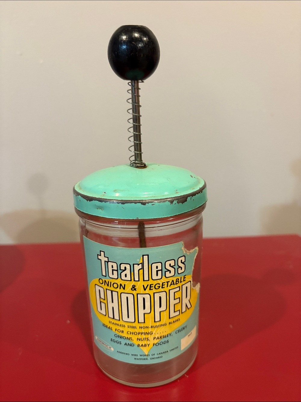 Tearless Onion & Vegetable Chopper - Aqua Lid